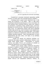 Biznesa plāns 'Mārketinga koncepcija tirgvedībā', 18.