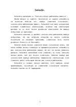 Referāts 'Centralizētais pašvaldību modelis', 3.