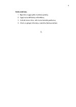 Prakses atskaite 'Rīgas brīvostas muitas kontroles punkts Nr 0210', 4.