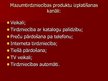 Prezentācija 'Preču mārketinga Mix', 7.