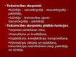 Prezentācija 'Preču mārketinga Mix', 8.