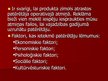 Prezentācija 'Preču mārketinga Mix', 17.
