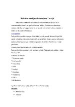 Konspekts 'Kultūras mediju raksturojums Latvijā', 2.