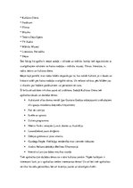 Konspekts 'Kultūras mediju raksturojums Latvijā', 5.