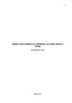 Referāts 'Risku pārvaldīšanas sistēmas analīze muitas jomā', 1.