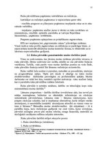 Referāts 'Risku pārvaldīšanas sistēmas analīze muitas jomā', 15.