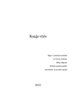 Referāts 'Kuņģa vēzis', 1.