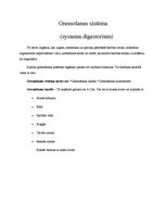 Referāts 'Kuņģa vēzis', 4.