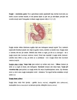 Referāts 'Kuņģa vēzis', 5.