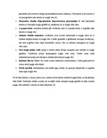 Referāts 'Kuņģa vēzis', 9.