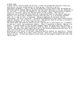 Eseja 'A Salty High: A Descriptive Essay about the Stoke that Surfboarding Brings to an', 1.