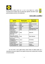 Referāts 'Sauso maisījumu rūpnīca "Sakret"', 5.