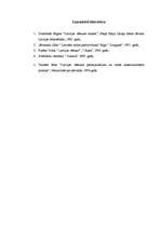 Referāts '1905.gada revolucionārie notikumi Latvijā', 12.