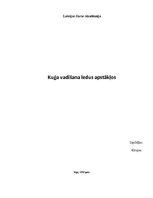 Referāts 'Kuģa vadīšana ledus apstākļos', 1.