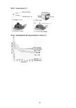 Referāts 'Miegs', 25.