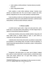 Referāts 'Komerciālā pirkuma līgums', 6.