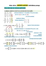 Paraugs 'Mājas darba "Lineārā algebra" atrisināšanas paraugs', 1.