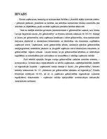 Referāts 'Inventarizācija', 2.