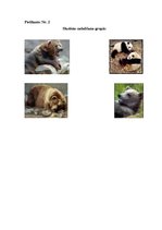 Konspekts 'Integrētā nodarbība 4.klasei "Lāči"', 8.