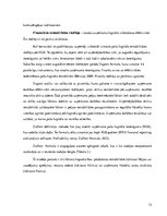 Referāts 'Finansiālā stāvokļa analīze un novērtējums', 12.