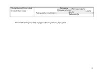 Referāts 'Finansiālā stāvokļa analīze un novērtējums', 14.