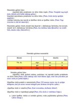 Konspekts 'Īpašības vārds', 2.