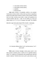 Referāts 'Dūmgāzu attīrīšanas tehnoloģijas', 8.