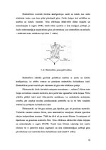 Referāts 'Dūmgāzu attīrīšanas tehnoloģijas', 10.