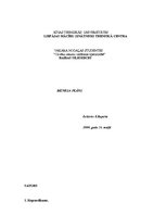 Biznesa plāns 'Automašīnu virsbūvju remonta uzņēmuma biznesa plāns', 6.