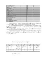 Biznesa plāns 'Automašīnu virsbūvju remonta uzņēmuma biznesa plāns', 10.