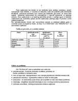 Biznesa plāns 'Automašīnu virsbūvju remonta uzņēmuma biznesa plāns', 13.