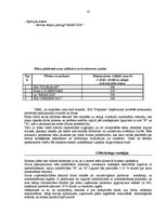 Biznesa plāns 'Automašīnu virsbūvju remonta uzņēmuma biznesa plāns', 15.