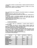 Biznesa plāns 'Automašīnu virsbūvju remonta uzņēmuma biznesa plāns', 16.