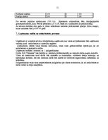 Biznesa plāns 'Automašīnu virsbūvju remonta uzņēmuma biznesa plāns', 17.