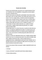 Referāts 'Normatīvo aktu hierarhija', 1.