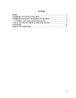 Referāts 'Ieņēmumu uzskaites problēmas pašvaldībās', 1.