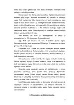 Referāts 'Moricsala', 6.