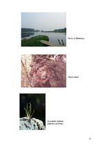 Referāts 'Moricsala', 9.