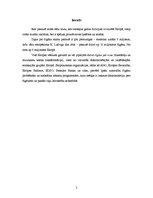 Referāts 'Čigāni - etniskās minoritātes Latvijā', 2.