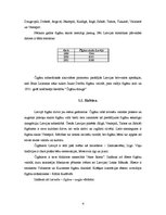 Referāts 'Čigāni - etniskās minoritātes Latvijā', 4.