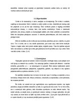 Referāts 'Raksturu akcentuācija', 3.