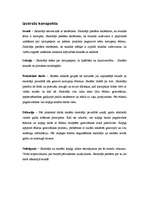 Konspekts 'Mājturības stundas plāns 6.klasei', 2.