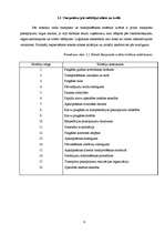 Referāts 'Transporta loģistika', 9.