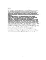 Referāts 'Kāzu tradīcijas, to vēsture', 5.