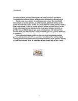 Referāts 'Kāzu tradīcijas, to vēsture', 6.