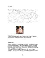 Referāts 'Kāzu tradīcijas, to vēsture', 7.