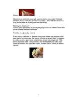 Referāts 'Kāzu tradīcijas, to vēsture', 11.