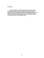 Referāts 'Kāzu tradīcijas, to vēsture', 14.