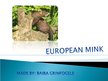Prezentācija 'The European Mink', 1.