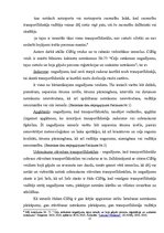 Diplomdarbs 'Ceļu satiksmes negadījumu noformēšanas īpatnības', 12.